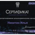 Сертификат - Лангеман Илья Владимирович #4