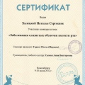 Сертификат - Халецкая Наталья Сергеевна #4